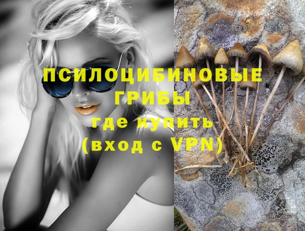 мяу мяу кристалл Алексин