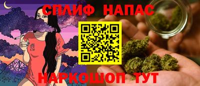 дживик Боровичи