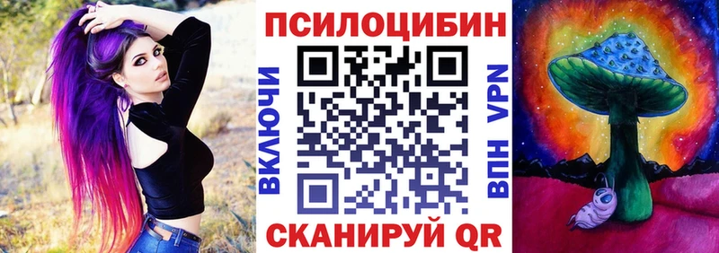 купить   Белореченск  Псилоцибиновые грибы Cubensis 