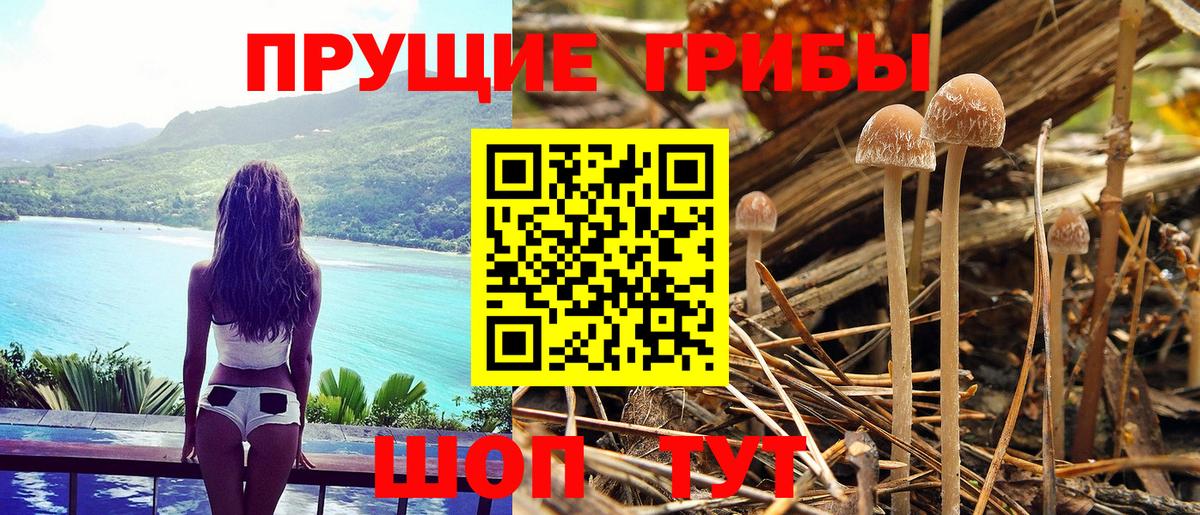 Псилоцибиновые грибы ЛСД  Вход с VPN  Белореченск 